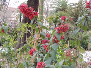 40 Des Fleurs